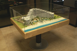 Model in wood and acrylic case